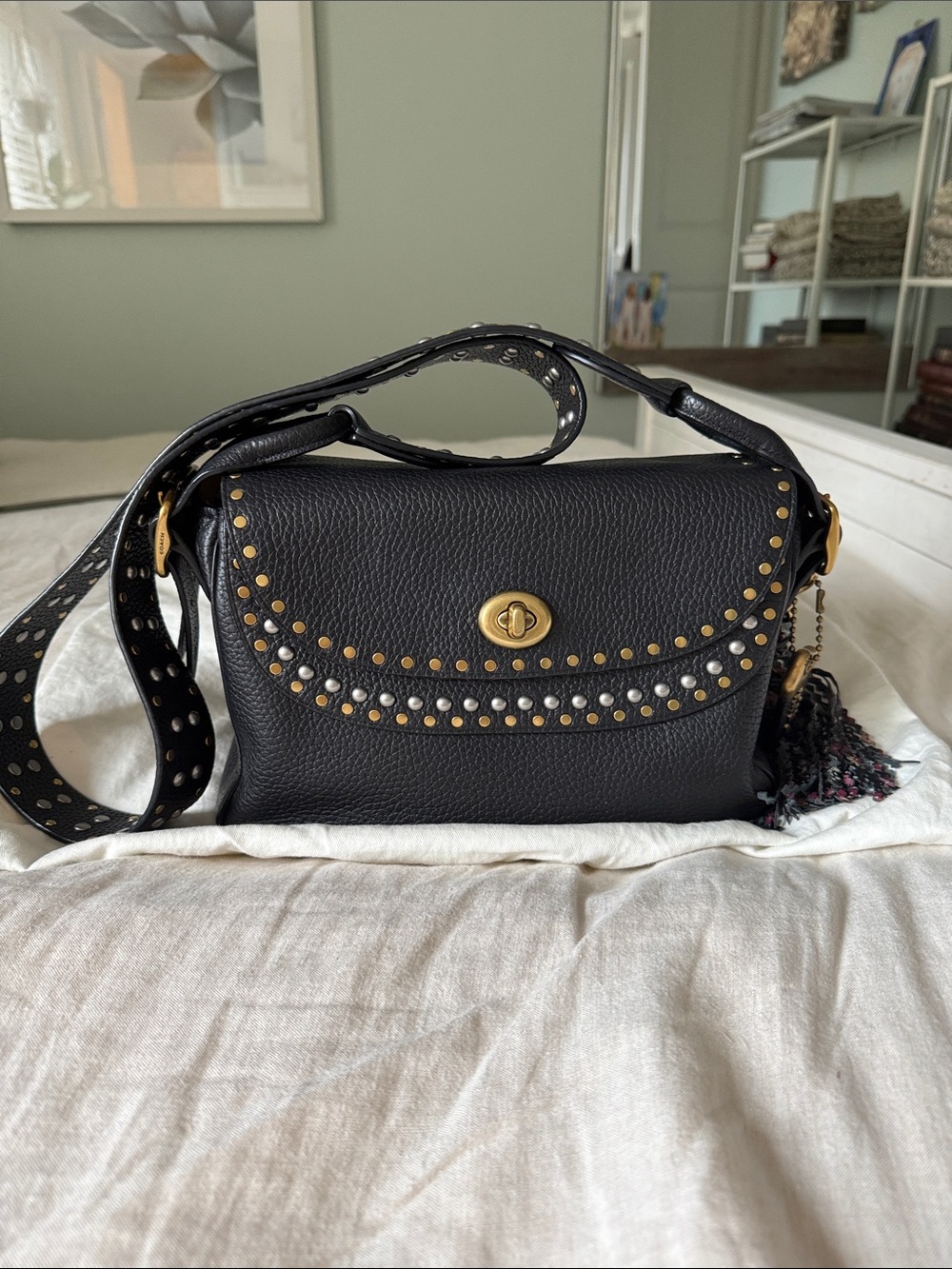 Coach x Tabitha Simmons ltd edition bag